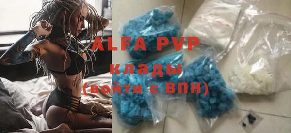 сатива Балахна