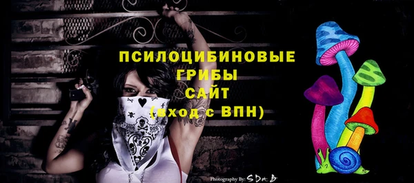 сатива Балахна