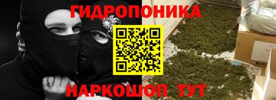 ГАЛЛЮЦИНОГЕННЫЕ ГРИБЫ Кулебаки