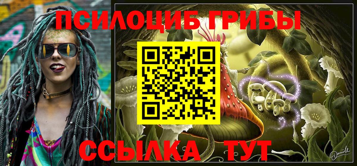 Псилоцибиновые грибы мицелий Чебоксары