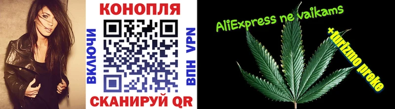 Бошки марихуана AK-47  продажа наркотиков  Чебоксары 
